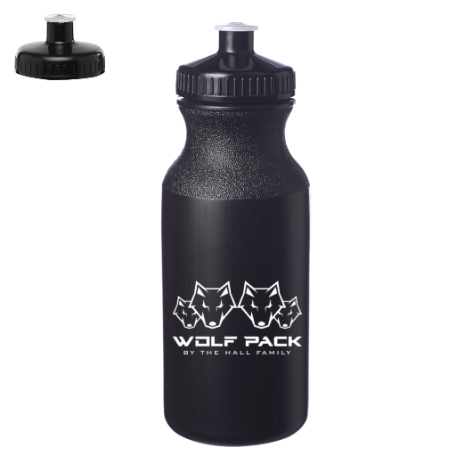 20 oz. Water Bottles with Push Cap